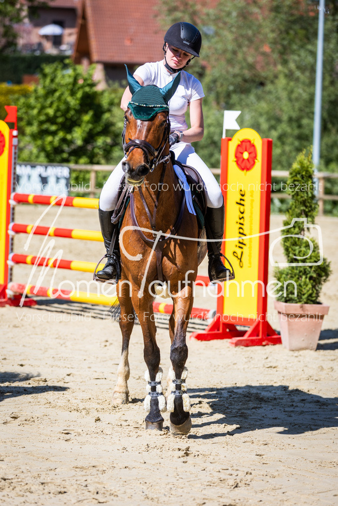 Donop24-M-Spr-094 | MomenTaufnahmen Pferdesportfotos