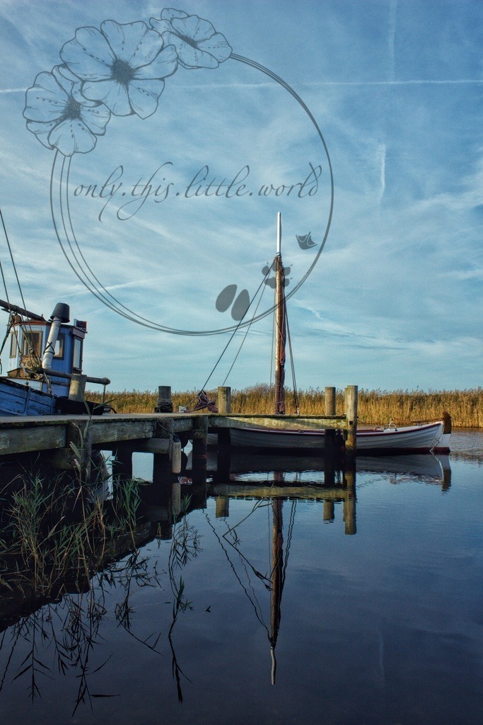 IMG_8885-01 | only.this.little.world - Realisiert mit Pictrs.com