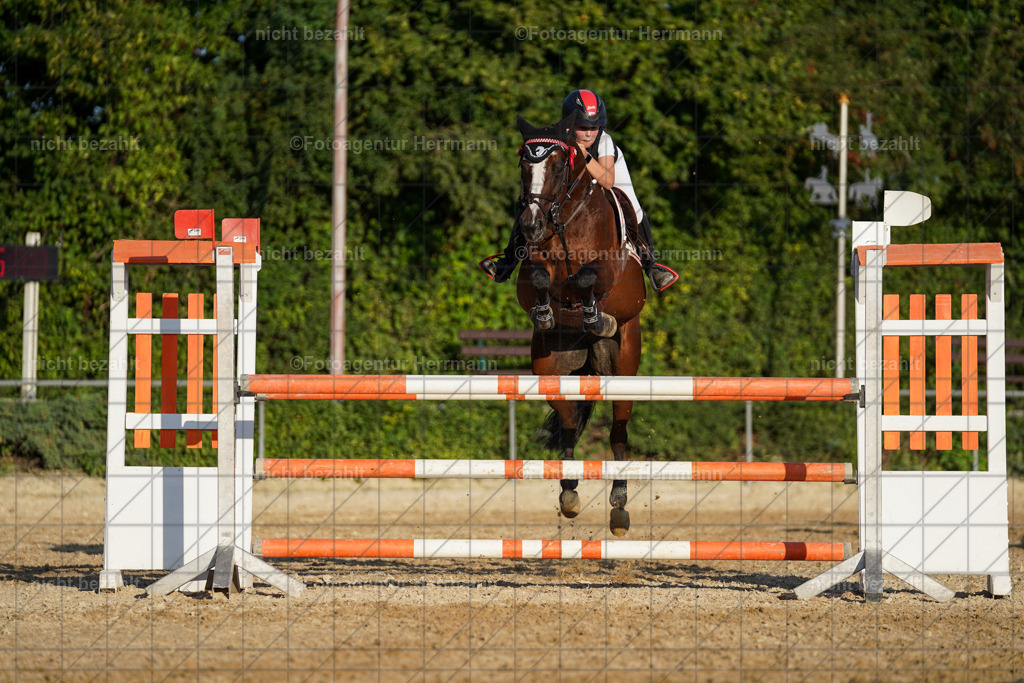 20240824-FAH08825 | Thierhaupten 2024, Bayerisches Landesponyturnier, Turnierbilder, Ponybilder, Turnierfotografen Bayern, Fotoagentur Herrmann