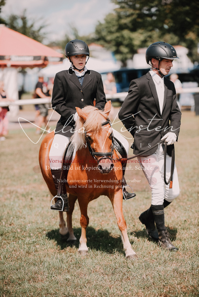 DSC_6010 | Pferde- und Turnierfotografie in Westsachsen. Pferdeportraits, Auftragszeichnungen und intuitive Kunst.
