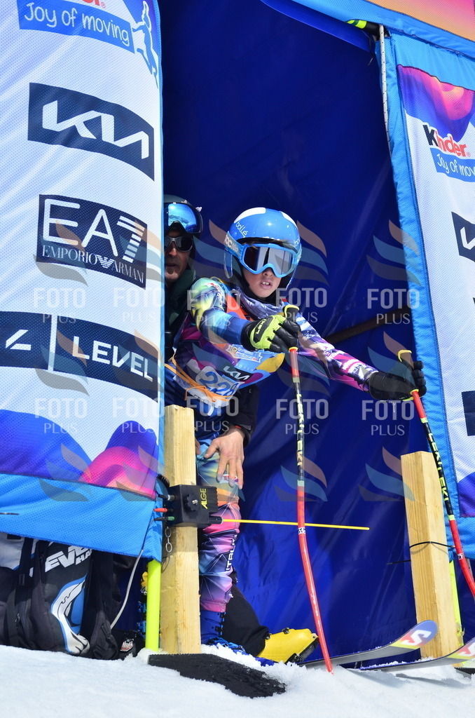 _ELE1615 | holidayphoto