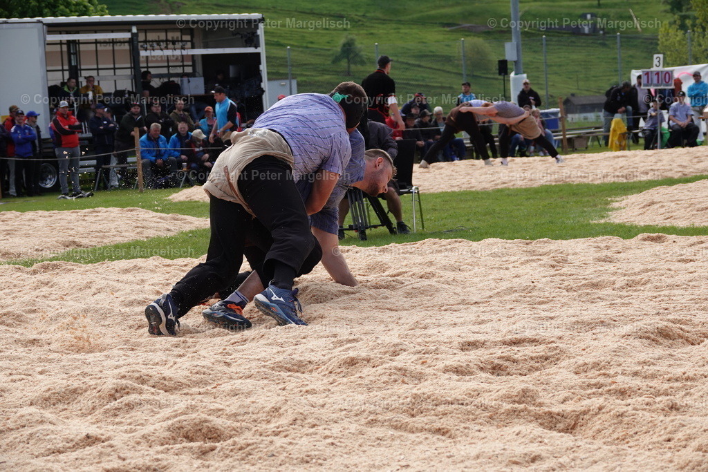 DSC00670 | Schwingen - Realisiert mit Pictrs.com