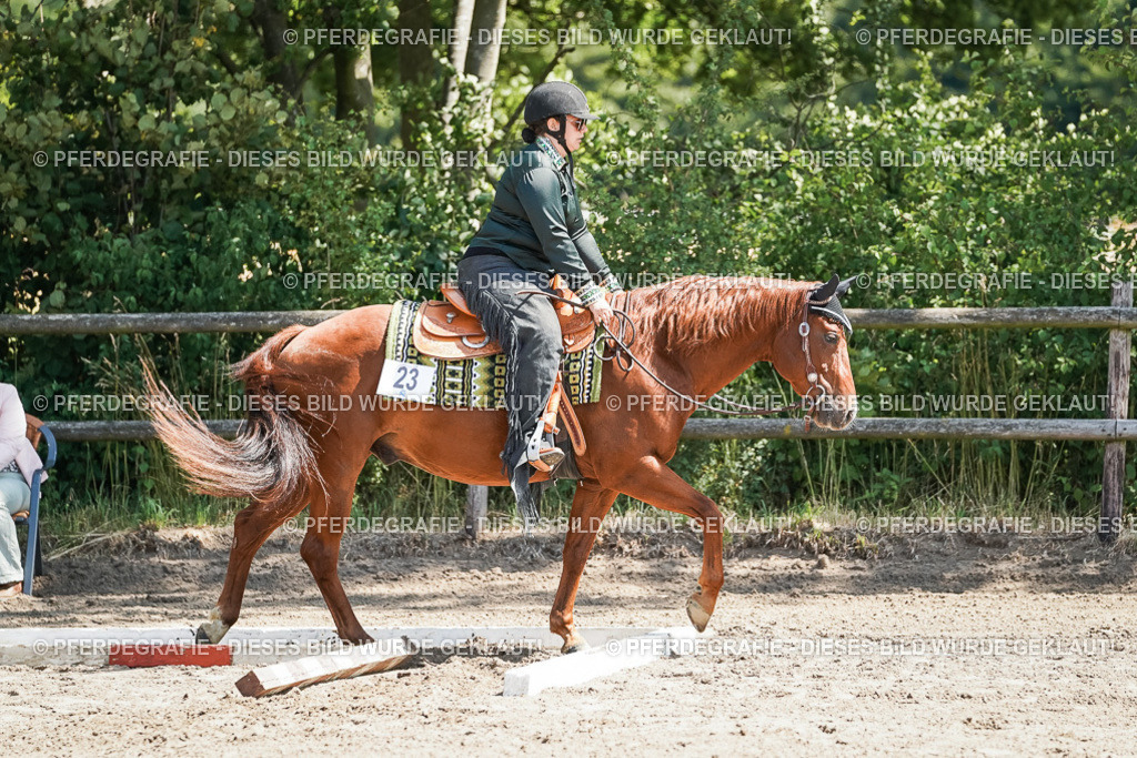 DSC06589 | Pferdegrafie