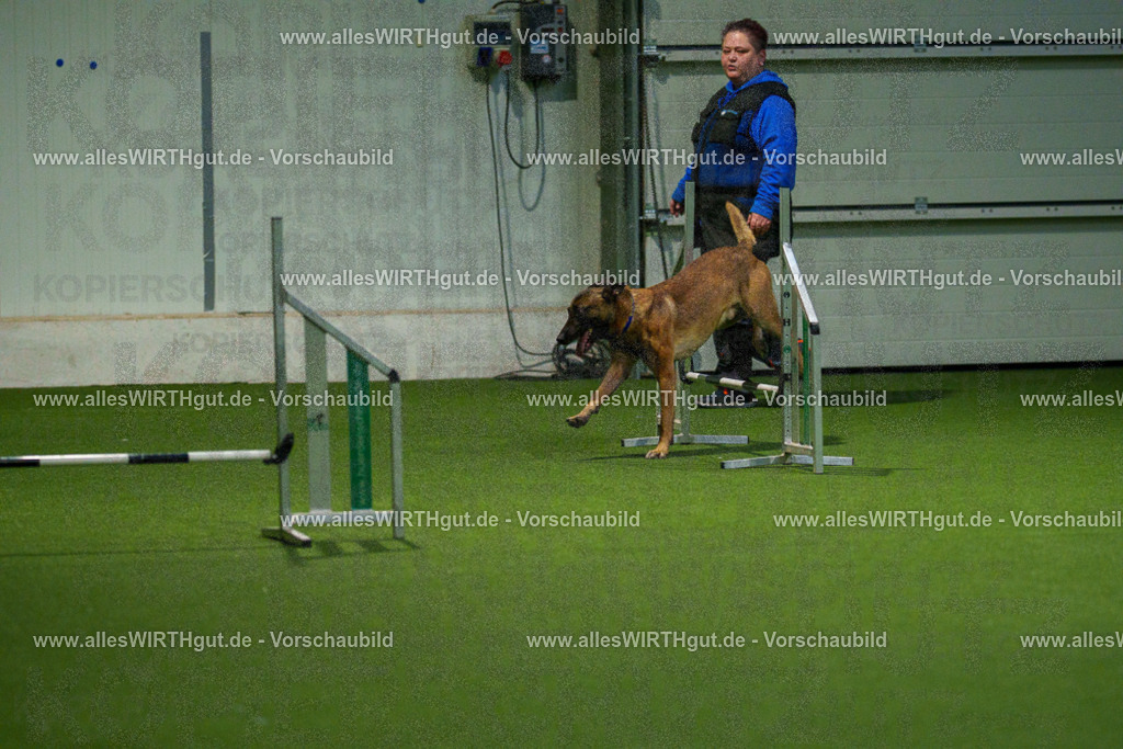 7R507499 | Professionelle Tierfotografie in Mönchengladbach von Daniel Wirth (allesWIRTHgut). Liebevolle & natürliche Bilder von Hunden & Katzen für unvergessliche Erinnerungen.