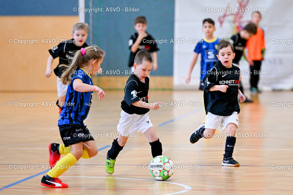 ASVÖ_ Fussballturnier SV Gallneukirchen_ 08.02.2025-54 | 08.02.2025, Gallneukirchen, AUT, ASVÖ, Fussball Nachwuchs Hallenturnier 2025, SV Gallneukirchen im Bild Teilnehmer U 7©Harald Dostal / fodo.media - Realisiert mit Pictrs.com