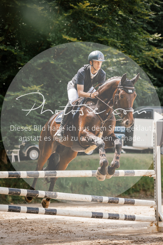 3I6A8103 | Stimmungsvolle Portraits und Reitsportfotografie im Ruhrgebiet und im Münsterland.

Pferdefotografie, Hundefotografie, Tierfotografie, Reportagen, Portraits von Tier und Mensch, Turnierfotografie in Bochum, Recklinghausen, Marl, Haltern am See, Dülmen.. - Realisiert mit Pictrs.com