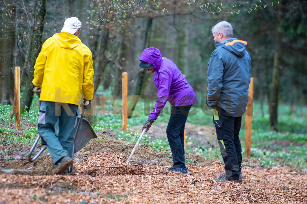 082_Waldputzete Reinacher Wald_kunzmedia.ch | OnlineShop für Bilder kunzmedia.ch