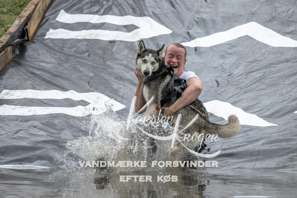 1230_ZZ94834 | kk-dogfotos