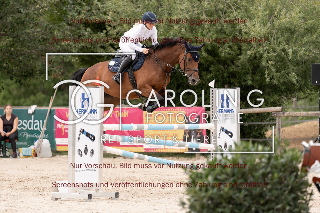 DSC06770 | Springturnier_Teamchallege_Talheim_2026, Clarissa_Schwär, Cranberry_19