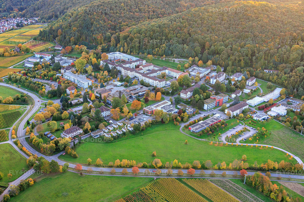 Pfalzklinikum für Psychiatrie und Neurologie http://www.pfalzklinikum.de/ | Luftbild: Pfalzklinikum für Psychiatrie und Neurologie http://www.pfalzklinikum.de/ in Klingenmünster im Bundesland Rheinland-Pfalz in Deutschland. Foto: IMG_150361.jpg vom 15.10.2025 durch Werner Riehm/FLY-FOTO.de - Realisiert mit Pictrs.com