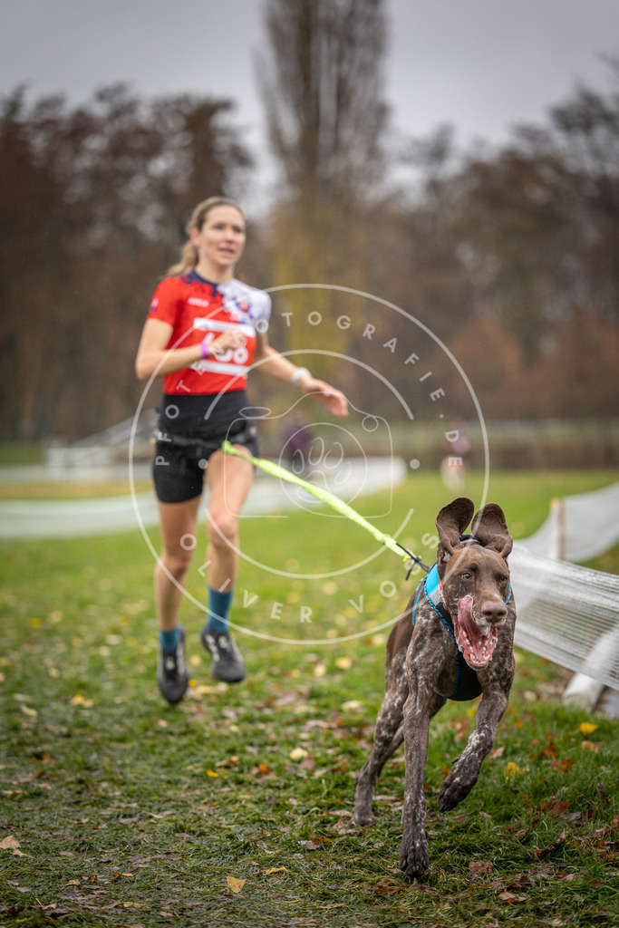 CaniXpix_DV3A8931 | Hundefotografie, Tierfotograf, Pfotenfotografie, Fotoshooting Hund, Hunde Portrait, Hundesport, Hundeportraits, Heideshooting, Hunde, Sportfotograf, Hundefotograf, Turnierhundsport, THS,  - Realisiert mit Pictrs.com