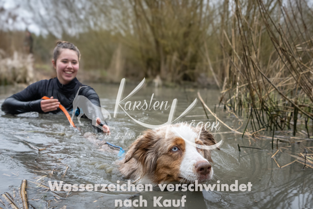 1035_ZZ91262 | kk-dogfotos
