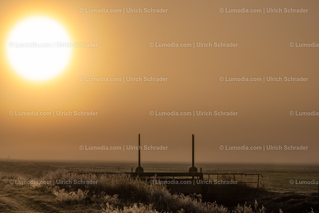 10049-12731 - Herbst im Großen Bruch | Stockfoto und Bilderpool mit Bildmaterial aus Deutschland, dem Harz, Halberstadt, Quedlinburg, Wernigerode und weltweit. Qualitativ hochwertige und professionelle Fotos anschauen und kaufen. - Realisiert mit Pictrs.com