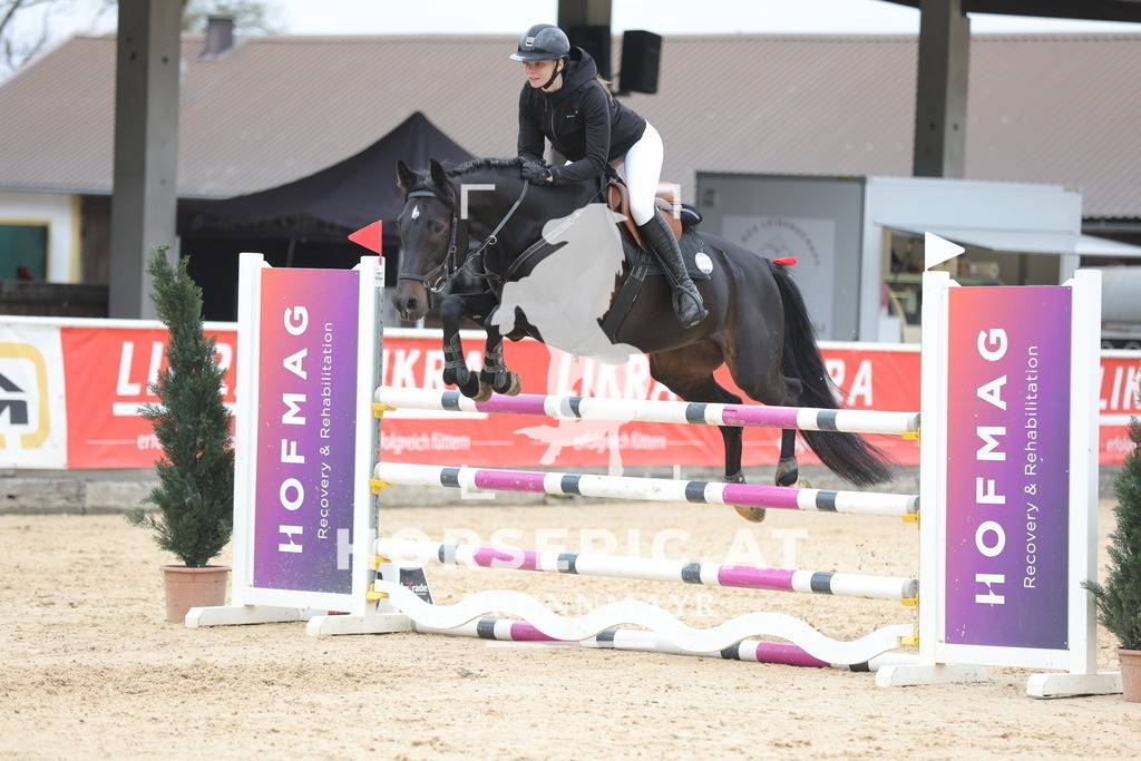 0P6A4558 | Willkommen bei Brunnmayr - Design & Fotografie – Ihrem Spezialisten für Reitturniere und Pferdeveranstaltungen in Oberösterreich, Salzburg und Bayern! Seit über 17 Jahren sind wir leidenschaftlich dabei.