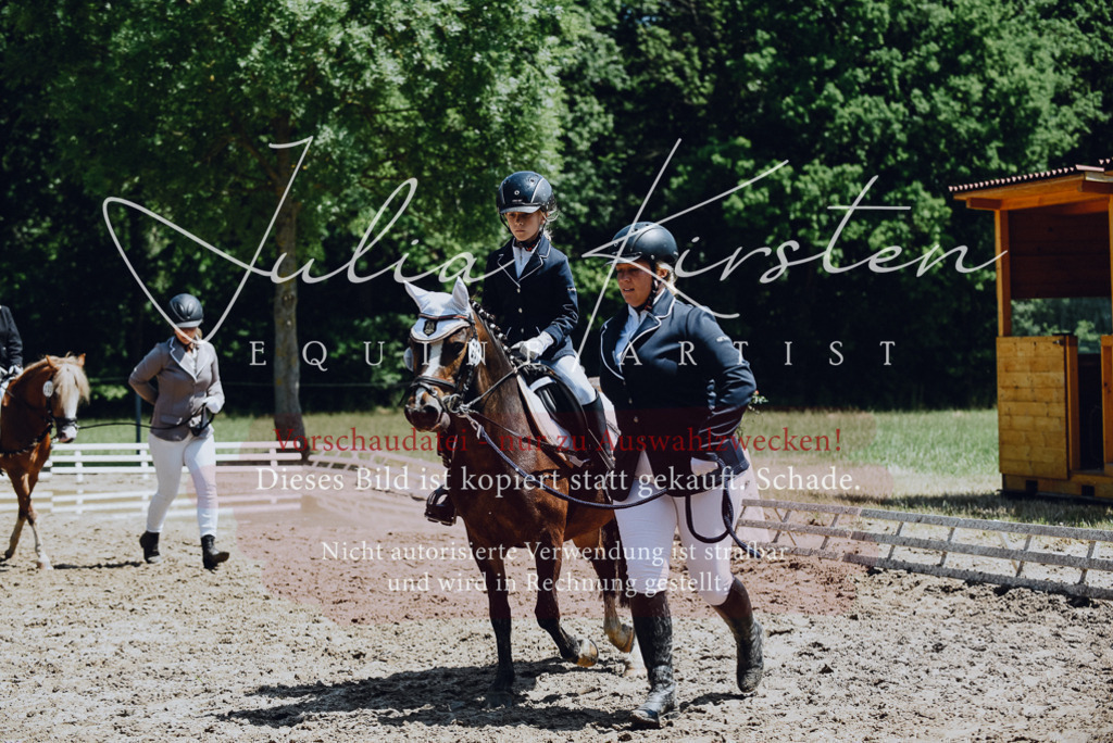 DSC_2142 | Pferde- und Turnierfotografie in Westsachsen. Pferdeportraits, Auftragszeichnungen und intuitive Kunst.