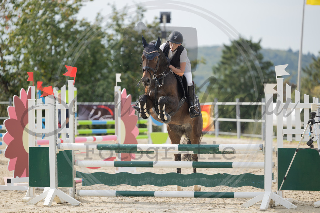 994A2007 | sabrinanicolaifotografie - Realisiert mit Pictrs.com