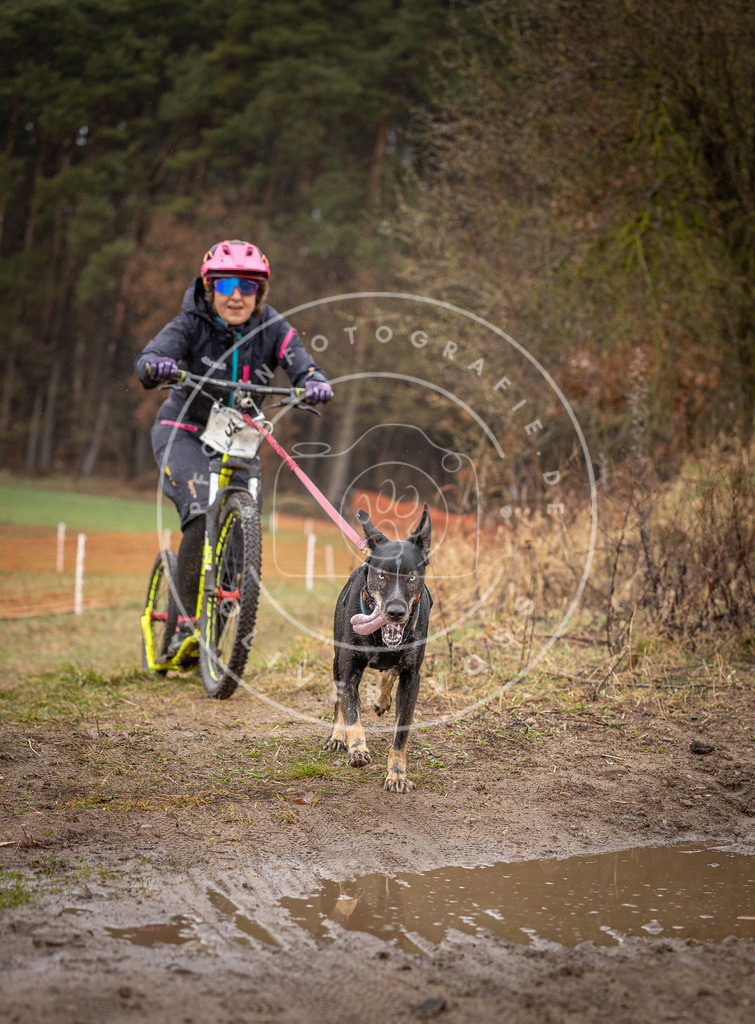 DV3A9490 | Hundefotografie, Tierfotograf, Pfotenfotografie, Fotoshooting Hund, Hunde Portrait, Hundesport, Hundeportraits, Heideshooting, Hunde, Sportfotograf, Hundefotograf, Turnierhundsport, THS,  - Realisiert mit Pictrs.com