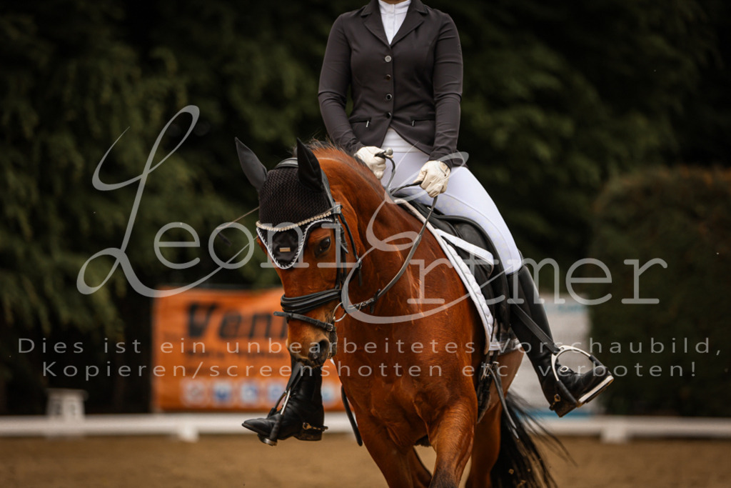 DoDrWB00111 | Leoni Ertmer Photography - Realisiert mit Pictrs.com