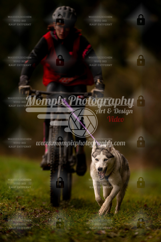 MompixPhotography_2SSTSSBW_2025_SO_Bike-78 | PayLife
