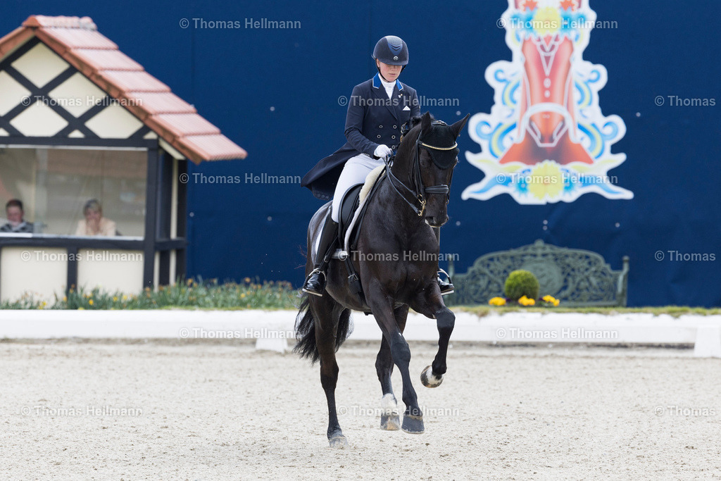 TH_87-KANERVA EMMA (FIN)_ Don Domingo 7_6567 | Horses &amp; Dreams meets Sweden 2023 am 23.04.23 in Hagen a.T.W., Thomas Hellmann, 87KANERVA EMMA (FIN), Don Domingo 7