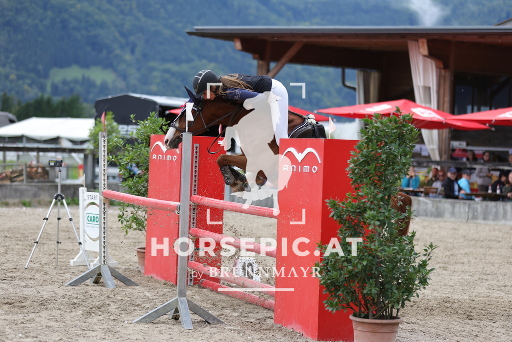 0P6A2303 | Willkommen bei Brunnmayr - Design & Fotografie – Ihrem Spezialisten für Reitturniere und Pferdeveranstaltungen in Oberösterreich, Salzburg und Bayern! Seit über 17 Jahren sind wir leidenschaftlich dabei.