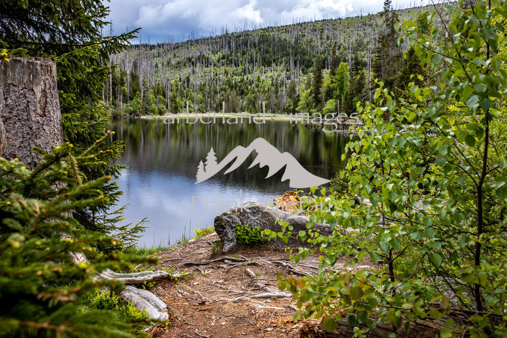 OE7A3687 | mitten im Nationalpark liegt der Lakkasee, beliebtes Wanderziel in der Stille des Böhmerwaldes