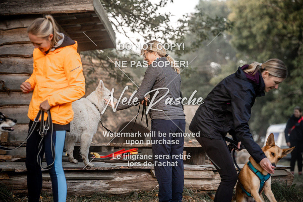 nelerasche_slaw24Sa_23 | nelerasche