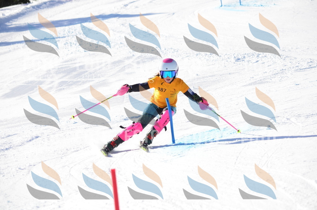 C6106 | holidayphoto