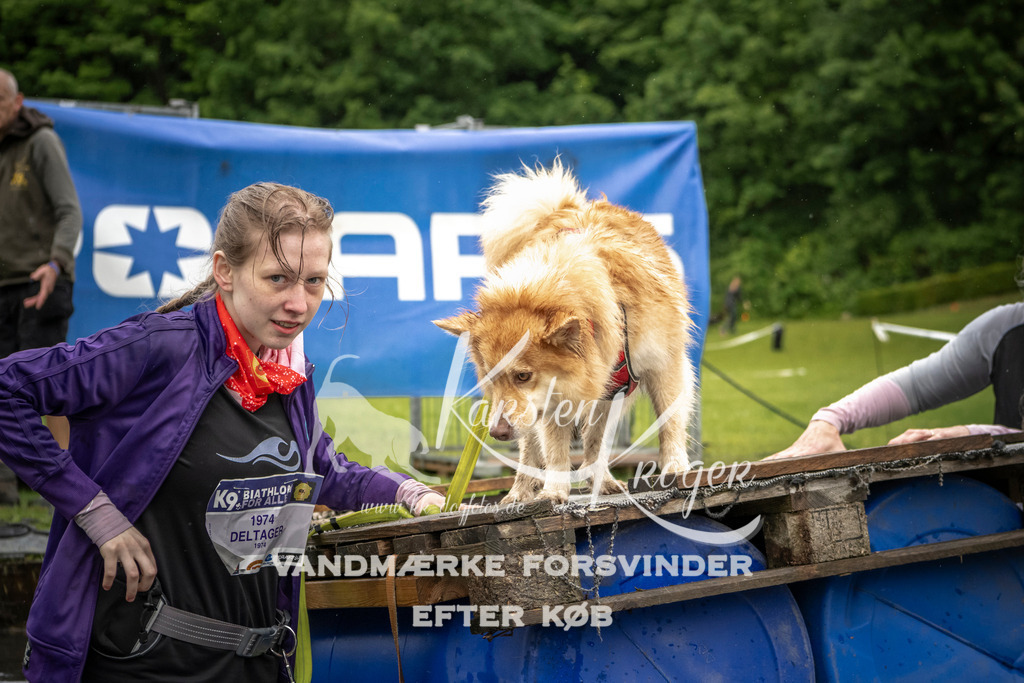 1619_ZZ96867-2 | kk-dogfotos