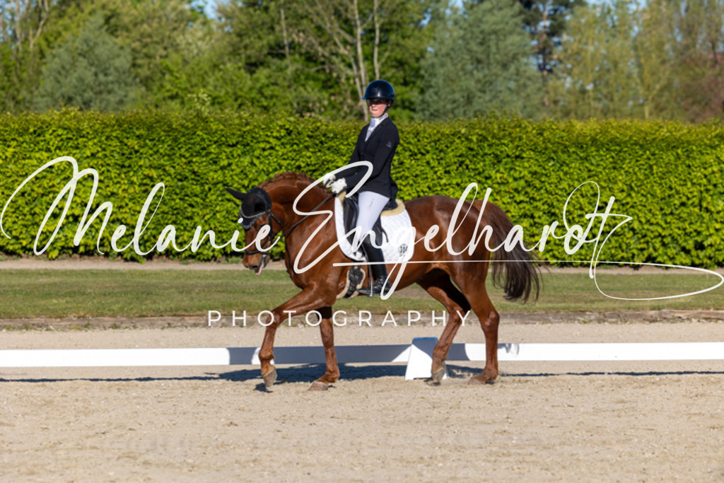 7I8A8345 | melanie-engelhardt-photography - Realisiert mit Pictrs.com
