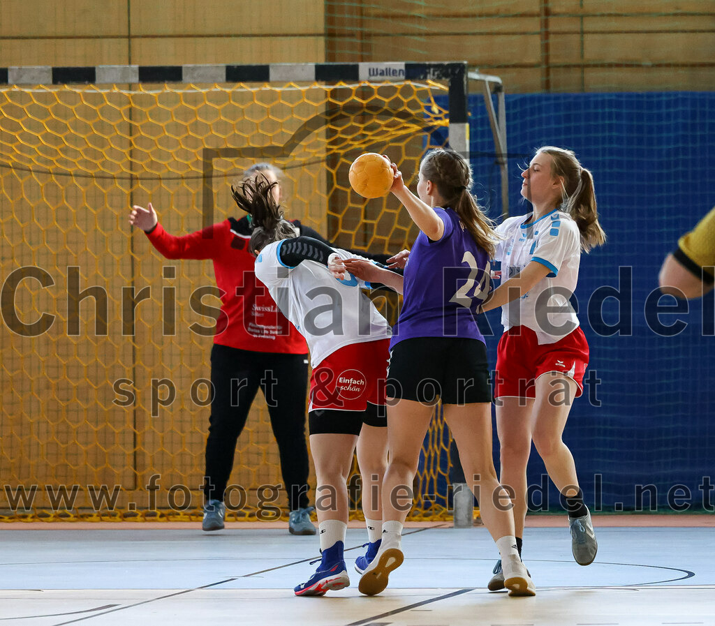 2023-03-18_018_SpVgg_Altenerding_II_gegen_HSG_Freising-Neufahrn_II | Erding, Deutschland, 18.03.2023:
Handball, Bezirksliga Frauen Altbayern 2022 / 2023, 14. Spieltag, SpVgg Altenerding II gegen HSG Freising-Neufahrn II, Endergebnis: 25:27

Torfrau Hanna Knecht (HSG Freising-Neufahrn, #16), Antonia Koch (HSG Freising-Neufahrn, #6), Sophie Lößl (SpVgg Altenerding, #24), Martina Martin (HSG Freising-Neufahrn, #7)

Foto: Christian Riedel / fotografie-riedel.net