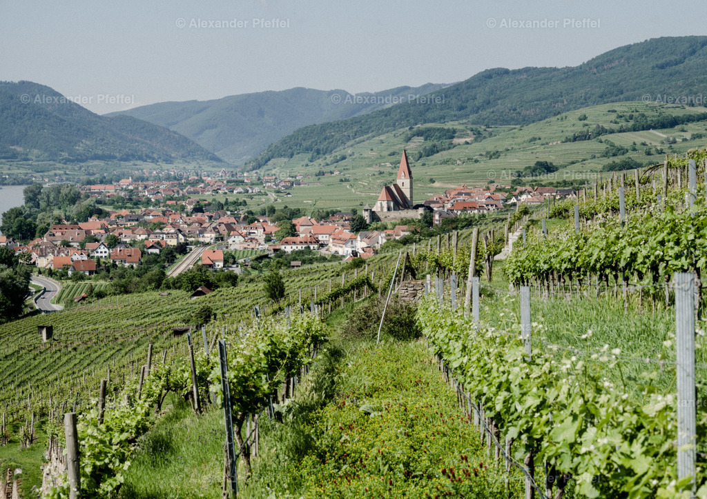 wachau-weissenkirchen_c_alexander_pfeffel--11 | alexander-pfeffel - Realisiert mit Pictrs.com