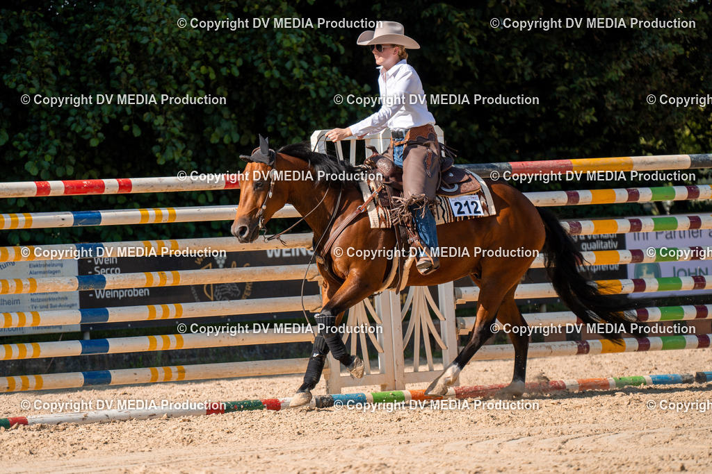 ZH100760 | dv-media-shop - Realisiert mit Pictrs.com