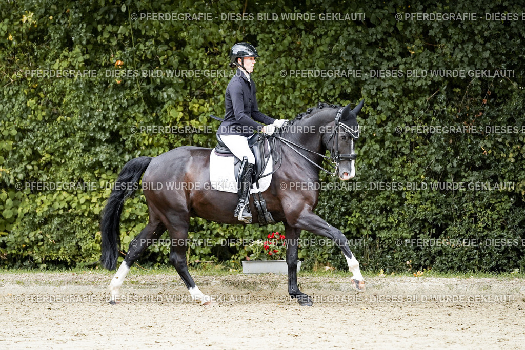 DSC06092 | Pferdegrafie