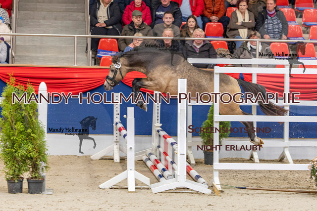 KWERR (259 von 475) | mandyhollmannphotographie