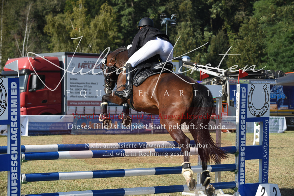 DSC_5364 | Pferde- und Turnierfotografie in Westsachsen. Pferdeportraits, Auftragszeichnungen und intuitive Kunst.