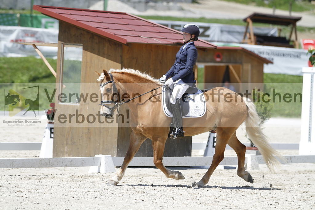_MG_5133 | equestrian-live-com