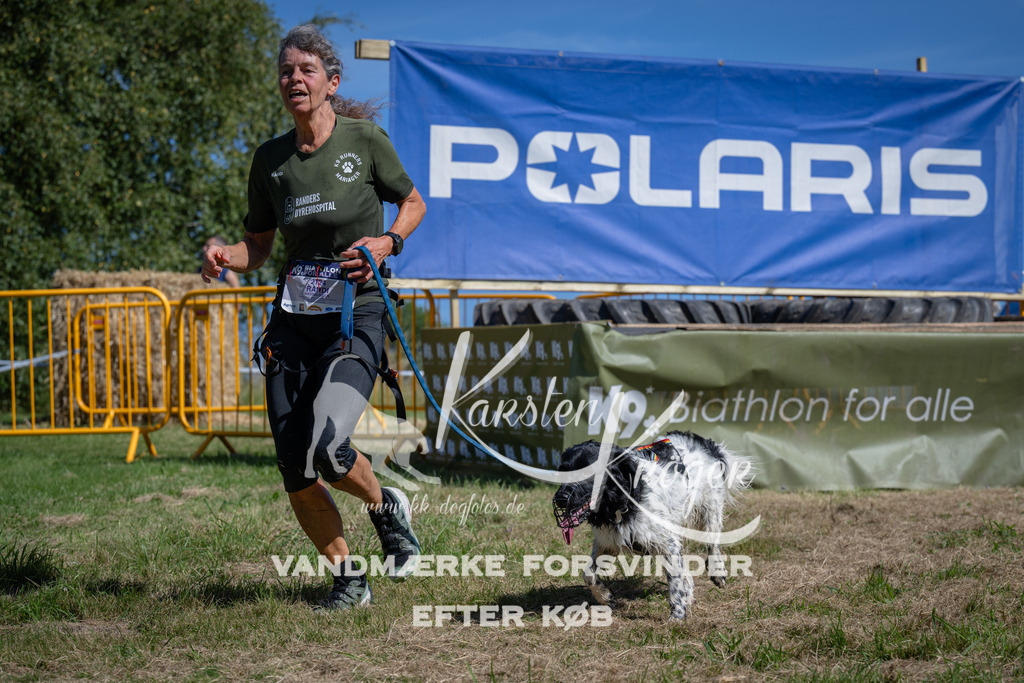 1146_ZZ92361 | kk-dogfotos
