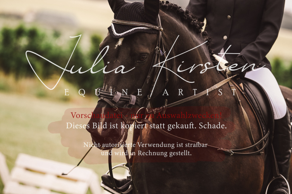 DSC_5120 | Pferde- und Turnierfotografie in Westsachsen. Pferdeportraits, Auftragszeichnungen und intuitive Kunst.