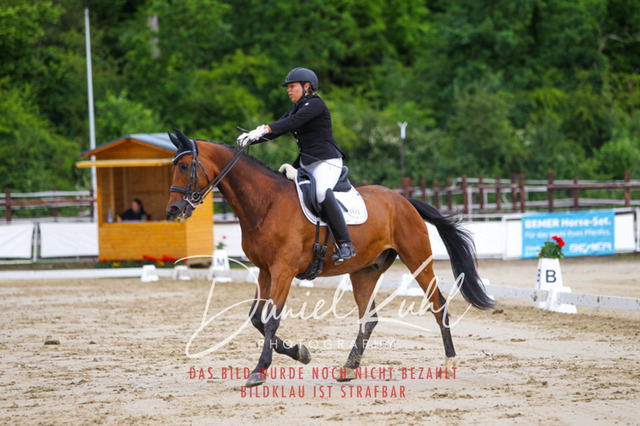 DKP47288 | Turniersportfotografie; Pferdefotografie; Dressurfotografie