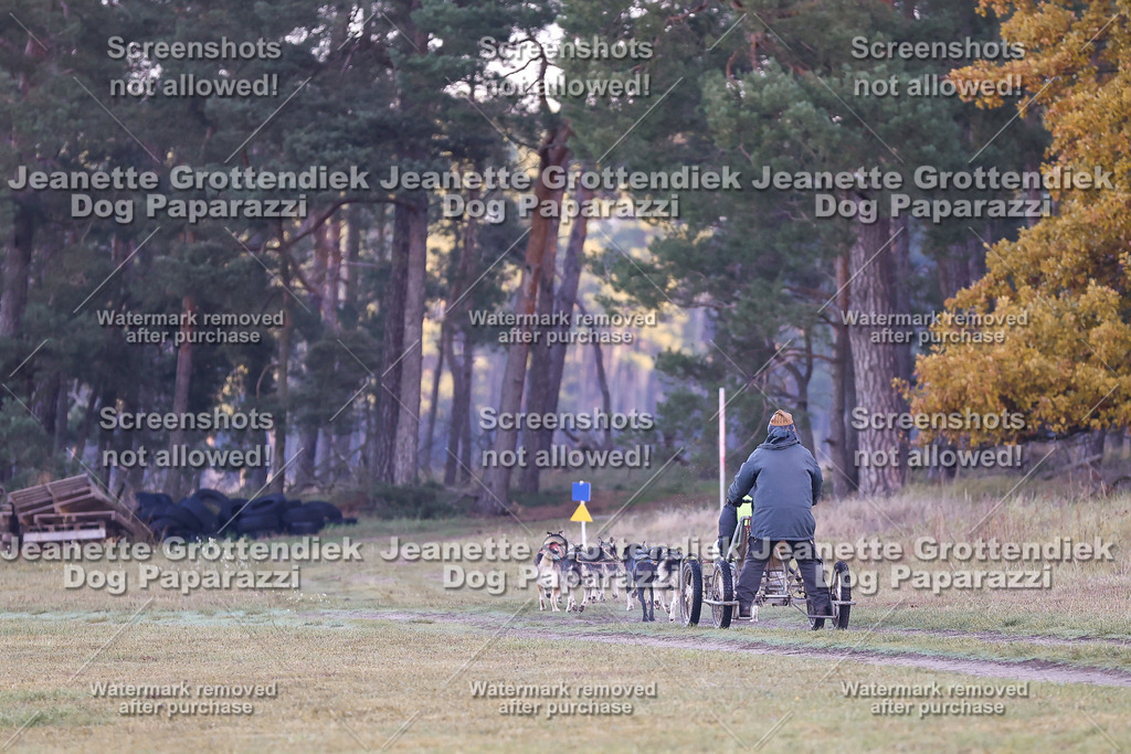 Dog Paparazzi - Elsholz 25 -7 | Dog Paparazzi Jeanette Grottendiek Fotografie & Videografie - Realisiert mit Pictrs.com