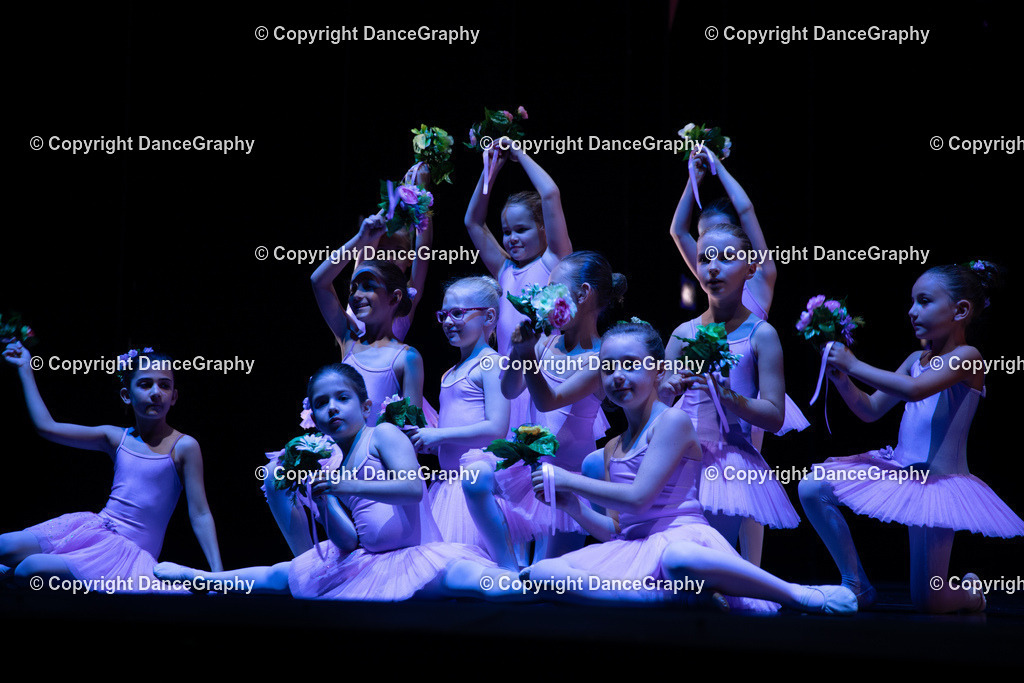 GPHY4882 | DanceGraphy - Realisiert mit Pictrs.com