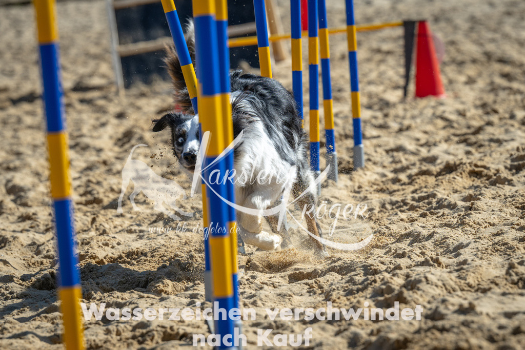 1259_ZZ93945-2 | kk-dogfotos