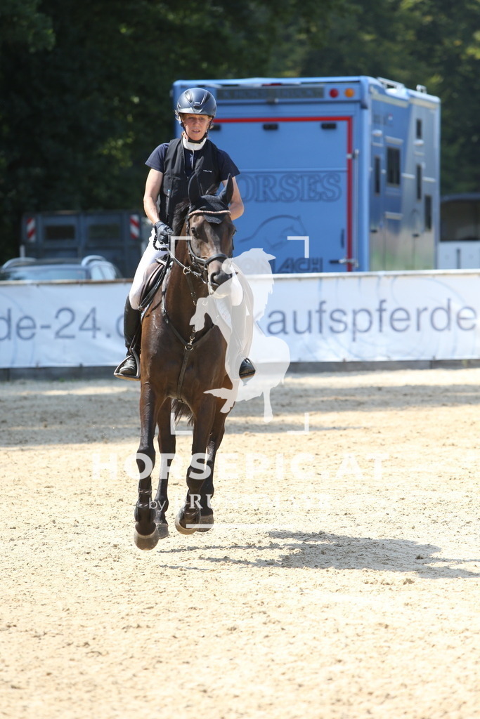 DL2Q1384 | Willkommen bei Brunnmayr - Design & Fotografie – Ihrem Spezialisten für Reitturniere und Pferdeveranstaltungen in Oberösterreich, Salzburg und Bayern! Seit über 17 Jahren sind wir leidenschaftlich dabei.