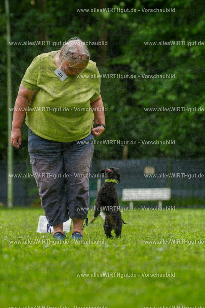 @allesWIRTHgut_Tierfotografie - www.allesWIRTHgut.de - 7R500414 | Professionelle Tierfotografie in Mönchengladbach von Daniel Wirth (allesWIRTHgut). Liebevolle & natürliche Bilder von Hunden & Katzen für unvergessliche Erinnerungen.