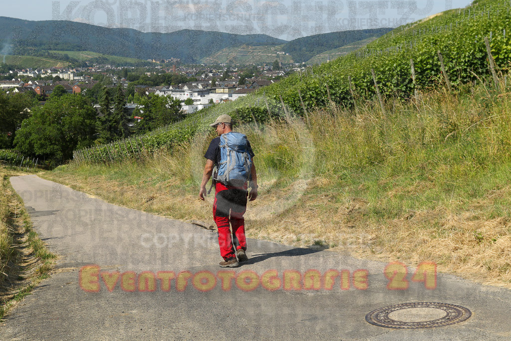 230617_1027_EV9_7117 | Sportfotografie im Rhein-Sieg Kreis, Köln, Bonn, NRW, Rheinland Pfalz, Hessen, etc. Unser Tätigkeitsfeld umfasst den Laufsport vom Volkslauf über den Marathon, Duathlon, Triathon bis zum Ultralauf wie Kölnpfad Ultra oder Schindertrail.