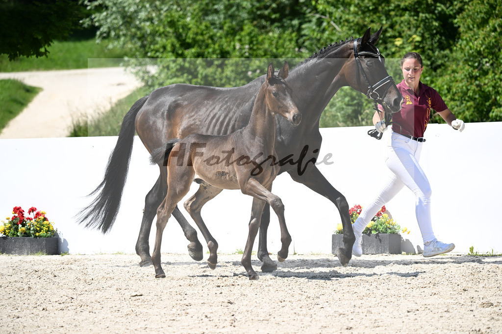 Fuerst Toto x Rubin-Royal_HF_Juerges_13251515 | hf-fotografie - Realizzato con Pictrs.com