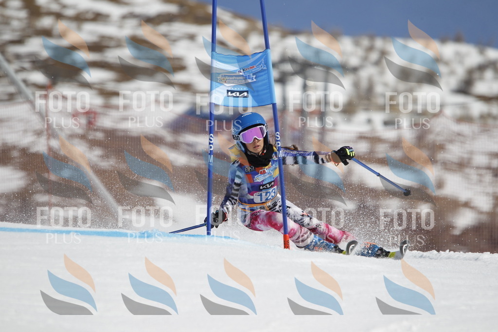 _U3G0746 | holidayphoto