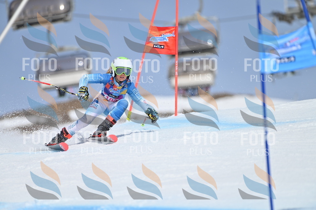 BGV_0667 | holidayphoto