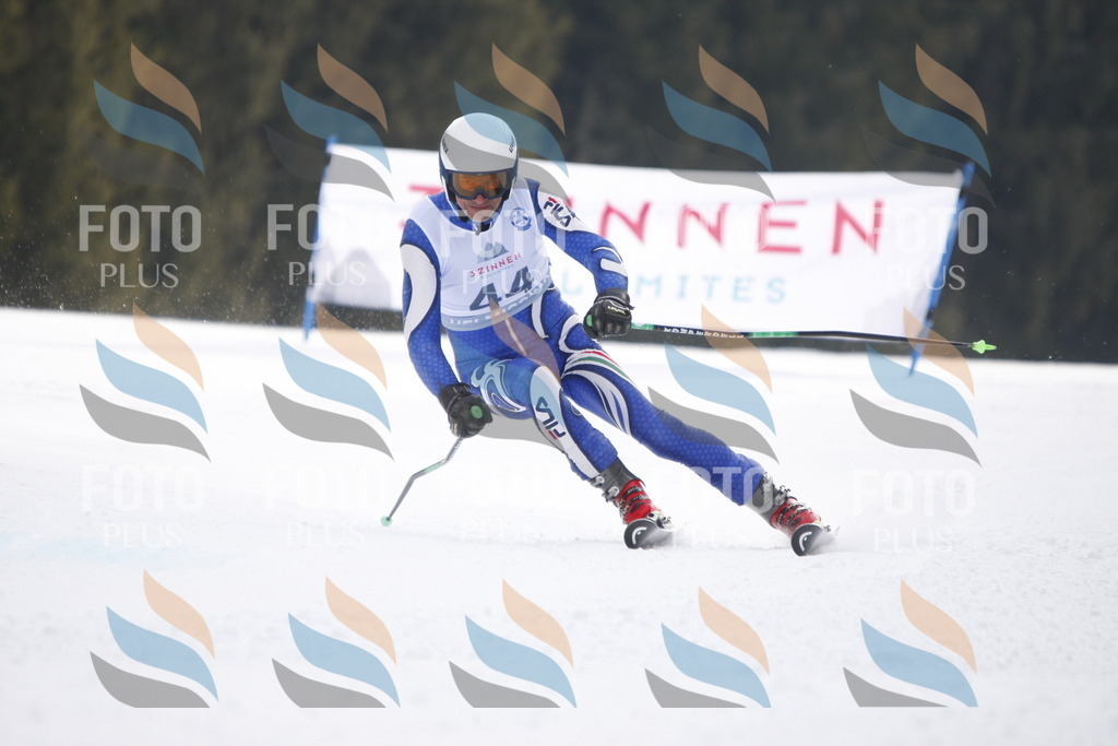 D5356 | holidayphoto